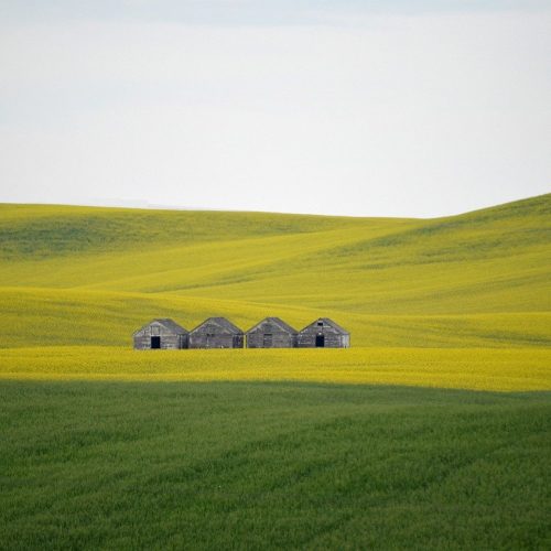 field, hills, barns-7025238.jpg